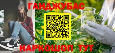 гидропоника Пенза