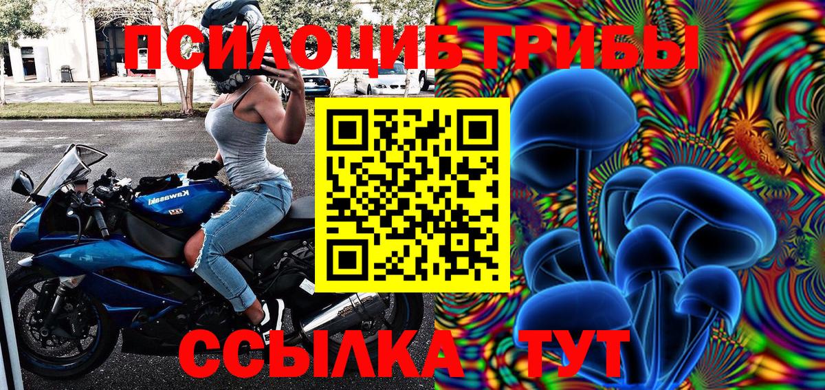 Псилоцибиновые грибы Psilocybe  Вход с VPN  Отрадный  Псилоцибиновые грибы мицелий 